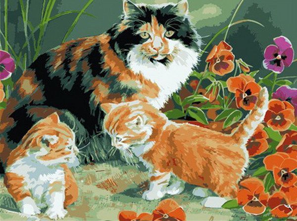 Рыжий кот G1148 Холст с красками 40х50 см по номерам. КОШКА С КОТЯТАМИ