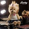 Orange Toys LD001 Lucky Doggy Мягкая игрушка Собачка Lucky Yoyo: Модница, 25 см