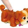 18549_Pet_Club_Parade_21.jpg