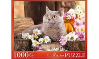 Masterpuzzle 6879 Пазл Красивый британский кот, 1000 элементов