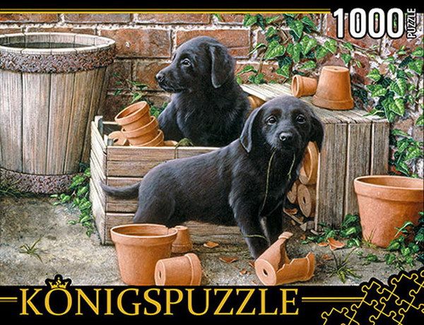 Konigspuzzle АЛК1000-8245 Пазлы Щенки лабрадора, 1000 элементов