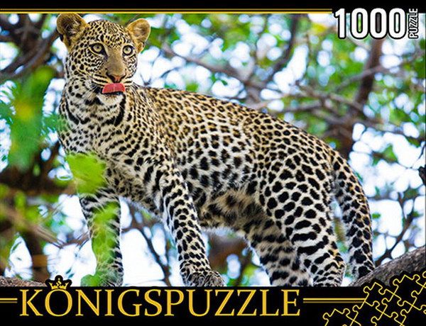 Konigspuzzle ГИК1000-8237 Пазл Хозяин Джунглей, 1000 элементов
