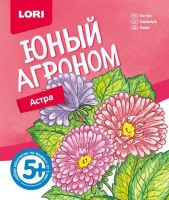 ЛОРИ Р-001 Набор Юный агроном "Астра"