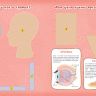 РОСМЭН 36301 Lapbook Интерактивная игровая папка Тело человека