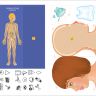 РОСМЭН 36301 Lapbook Интерактивная игровая папка Тело человека
