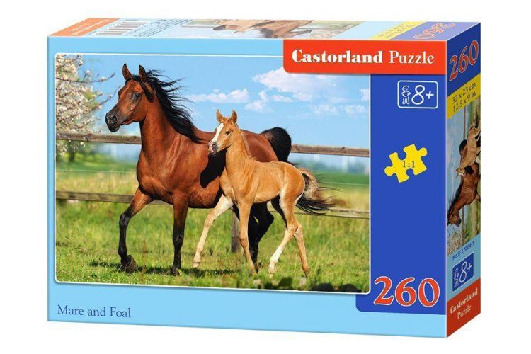 Castorland C260-26784 Пазл Лошади, 260 деталей