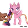 Hasbro F1287 MLP Игровой набор Укладки Пони Принцесса Каденс