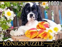 Konigspuzzle ГИК1000-8238 Пазл Щенок спаниеля, 1000 элементов