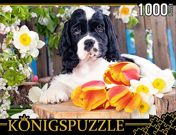 Konigspuzzle ГИК1000-8238 Пазл Щенок спаниеля, 1000 элементов