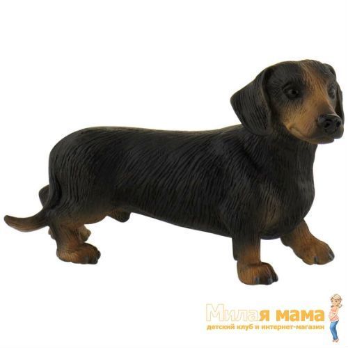 Bullyland 65441 Фигурка Такса короткошерстная, 7,5 см