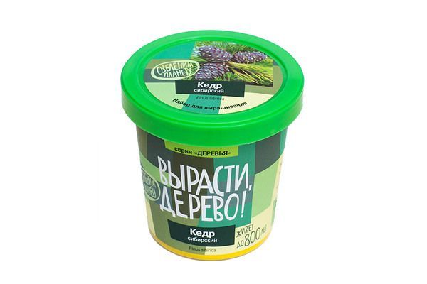 Набор для выращивания растений "Кедр сибирский"