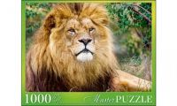 Masterpuzzle 6884 Пазл Африканский лев, 1000 элементов