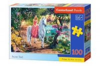Castorland В-111114 Пазл Castorland Premium Тайные тропы 100 деталей