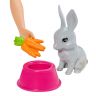 Mattel FXH11 Barbie® Кукла Барби Игровой набор Барби и домашние питомцы