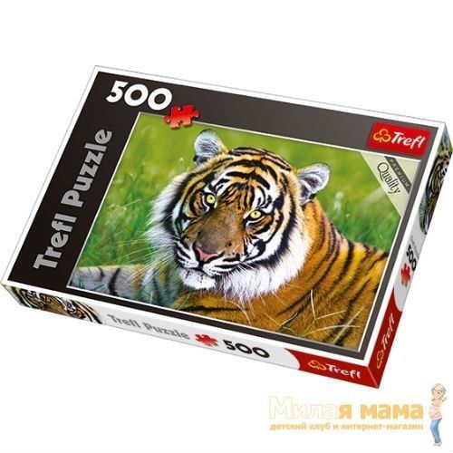 Trefl 37192 Пазлы Тигр, 500 деталей
