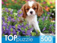 Рыжий кот ГИТП500-4200 TOPpuzzle. Пазлы 500 элементов. МИЛЫЙ СПАНИЕЛЬ
