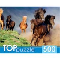 Рыжий кот КБТП500-4198 TOPpuzzle. Пазлы 500 элементов. БЕГУЩИЙ ТАБУН