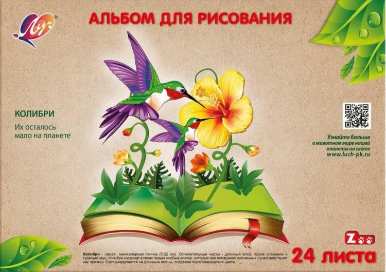 ЛУЧ 31С1990-08 Альбом для рисования ЛУЧ Zoo Колибри 24 листа, А4