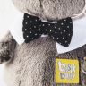 BUDI BASA BB-020 Мягкая игрушка Кот Басик BABY с бабочкой, 20 см
