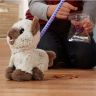 Hasbro C1156 FurReal Friends Забавный котёнок Ками, друг Пакса