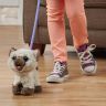 Hasbro C1156 FurReal Friends Забавный котёнок Ками, друг Пакса