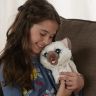 Hasbro C1156 FurReal Friends Забавный котёнок Ками, друг Пакса