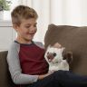 Hasbro C1156 FurReal Friends Забавный котёнок Ками, друг Пакса