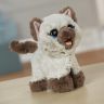 Hasbro C1156 FurReal Friends Забавный котёнок Ками, друг Пакса