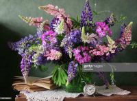 Рыжий кот Х-4727 Холст с красками 40*50 см по номерам. ШИКАРНЫЙ БУКЕТ.