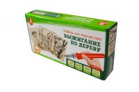 Десятое королевство 04386ДК Набор для творчества Десятое королевство Выжигание по дереву аппарат с насадками, доски 5 шт