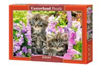 Castorland С-104086 Пазл Животные Котята в саду, 1000 элементов