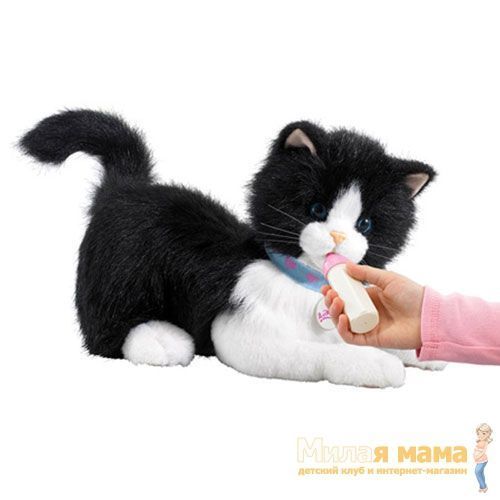 Китти - Моя ласковая кошечка