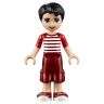 Lego Friends 41129 Конструктор Лего Подружки Парк развлечений: фургон с хот-догами, 243 детали