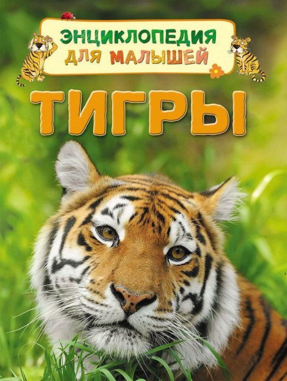 Книга. Энциклопедия для малышей Тигры
