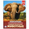 УМка 978-5-506-02287-9 Энциклопедия с развивающими заданиями Самые большие животные
