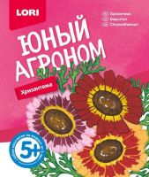 Lori Р-018 Набор Юный агроном "Хризантема"