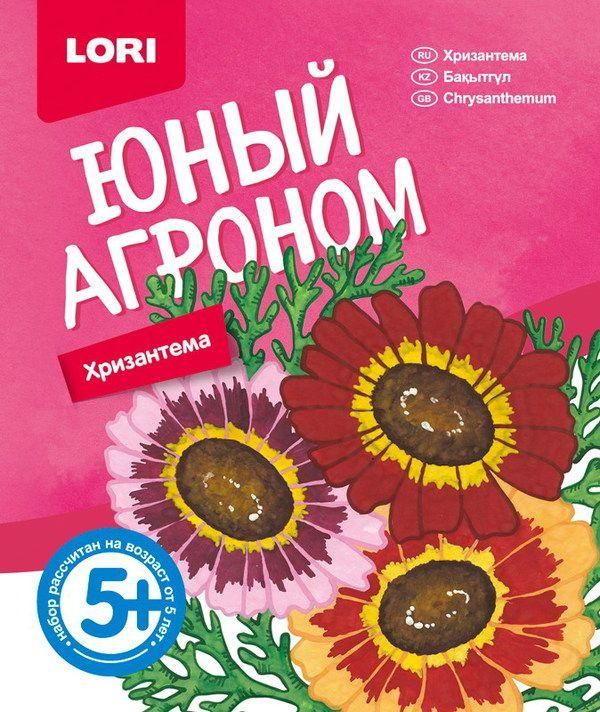 Lori Р-018 Набор Юный агроном "Хризантема"