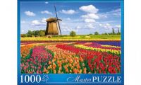 Masterpuzzle 6901 Пазл Нидерланды Тюльпановое поле и мельница, 1000 элементов