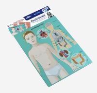 Десятое королевство 03820ДК Игра магнитная развивающая. Магнитные истории "Анатомия" (европодвес, 3х10шт)