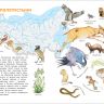 РОСМЭН 35309 Книга Мир и человек Мой любимый географический атлас