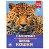 УМка 978-5-506-02277-0 Энциклопедия с развивающими заданиями Дикие кошки
