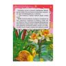Росмэн 28181 Книга серия Все-всё-всё для малышей, Дюймовочка