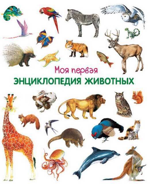 Омега 03649-8 Моя первая энциклопедия животных