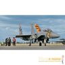 03996r-0-amerikanskiy-istrebitel-f-15e-eagle-360.jpg