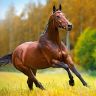 Castorland В-018314 Пазл Осенний ветер, 180 деталей