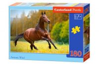 Castorland В-018314 Пазл Осенний ветер, 180 деталей