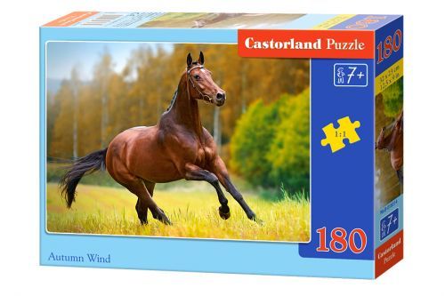 Castorland В-018314 Пазл Осенний ветер, 180 деталей