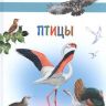 ВАКО 03580-9 Иллюстрированная энциклопедия школьника Птицы