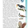 ВАКО 03580-9 Иллюстрированная энциклопедия школьника Птицы