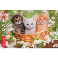 Hatber 250ПЗ3-18582 Пазл Котята, 250 элементов, 40х28 см